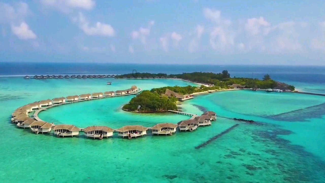 它是肺部“大救星”,别忘记给孩子吃,健脾养胃又润肺,安稳过冬
